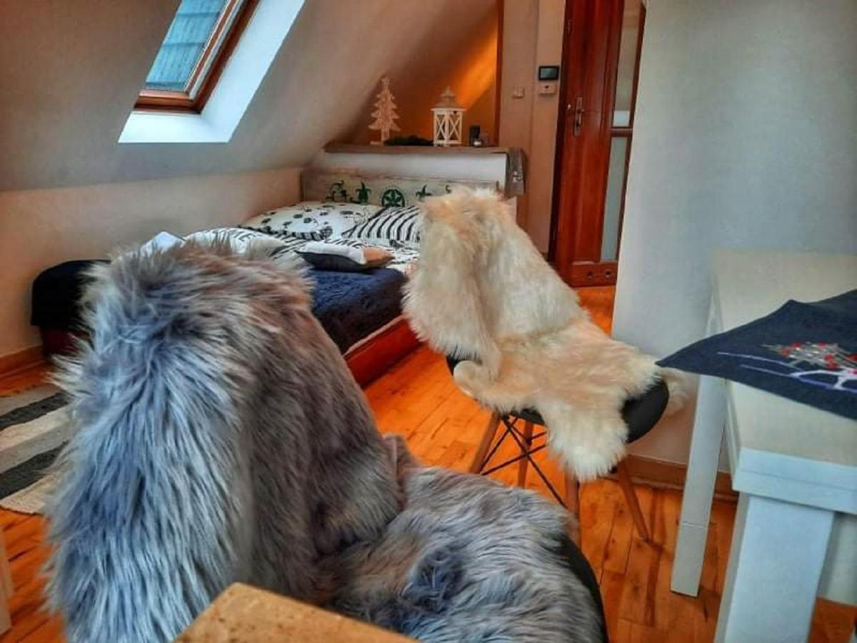 Willa Czajka - Widokowe Apartamenty Zakopane Kültér fotó