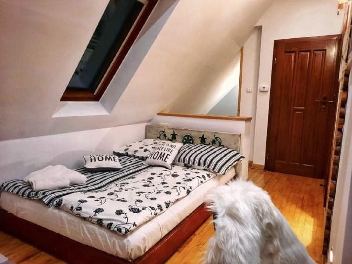 Willa Czajka - Widokowe Apartamenty Zakopane Kültér fotó