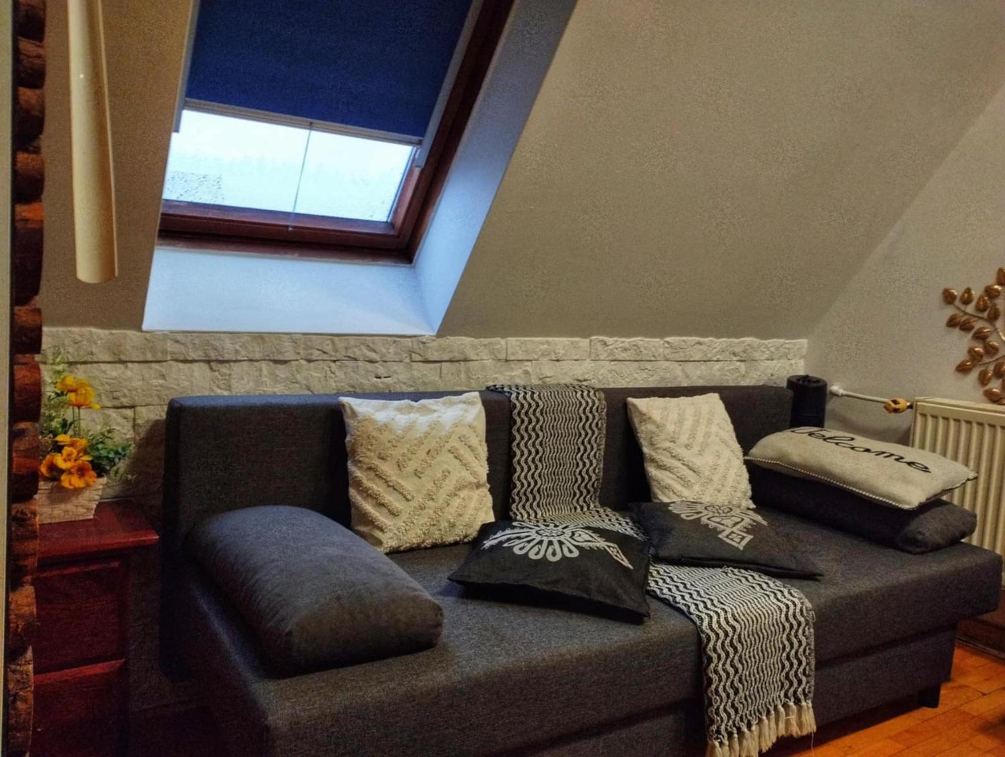 Willa Czajka - Widokowe Apartamenty Zakopane Kültér fotó