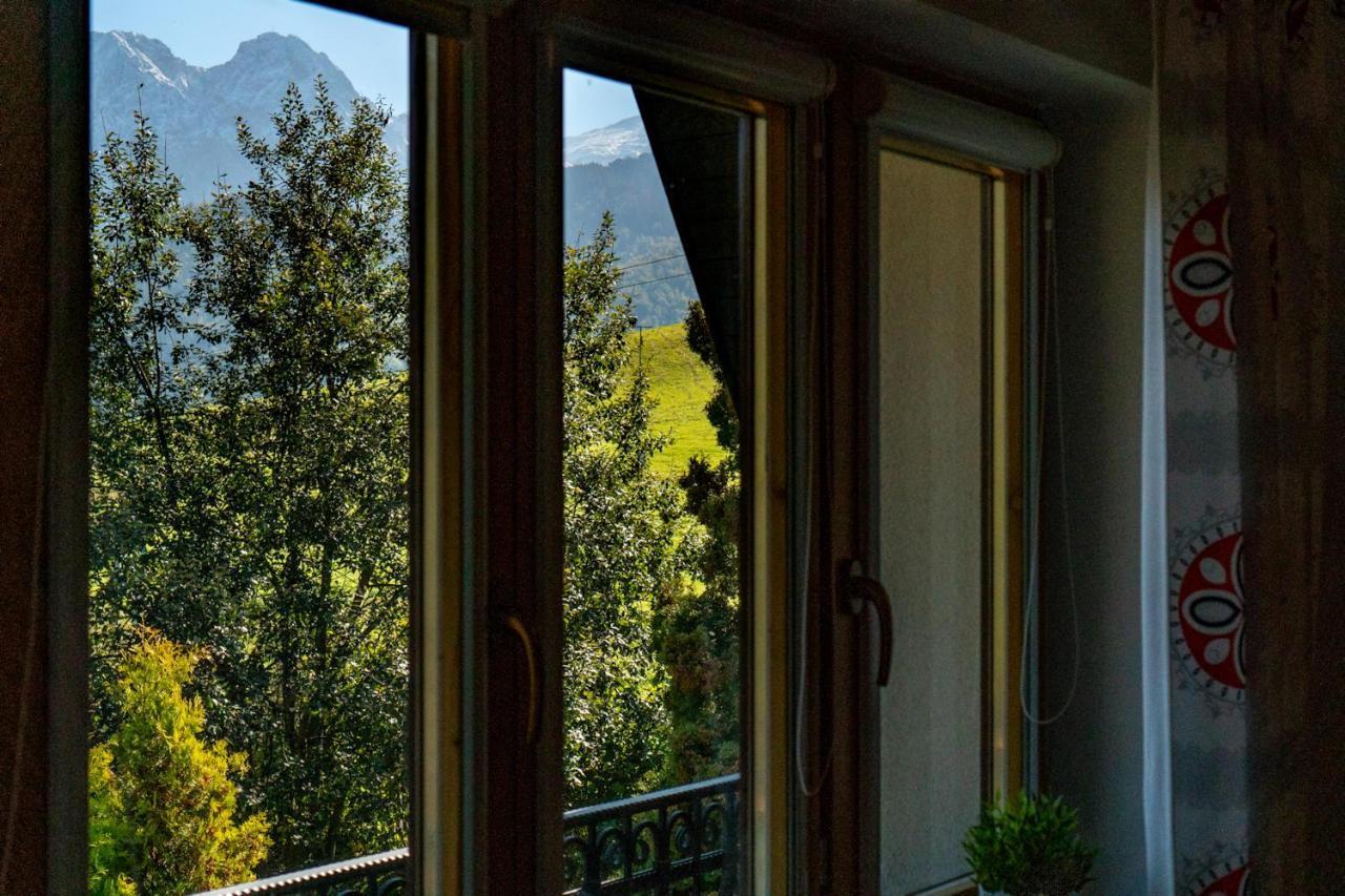 Willa Czajka - Widokowe Apartamenty Zakopane Kültér fotó